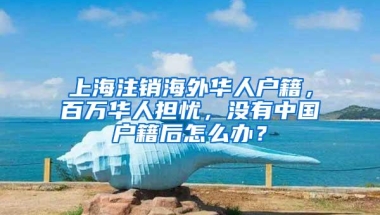 上海注销海外华人户籍，百万华人担忧，没有中国户籍后怎么办？