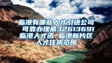 临港有哪些人才引进公司 可靠办理威32613691临港人才函 临港新片区人才住房范围