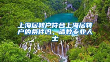 上海居转户符合上海居转户的条件吗，请教专业人士