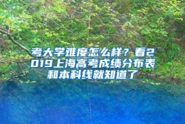 考大学难度怎么样？看2019上海高考成绩分布表和本科线就知道了