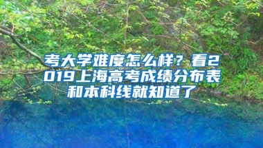 考大学难度怎么样？看2019上海高考成绩分布表和本科线就知道了