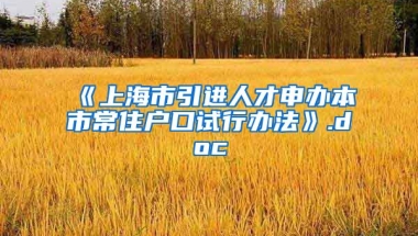 《上海市引进人才申办本市常住户口试行办法》.doc