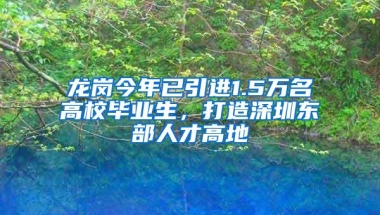 龙岗今年已引进1.5万名高校毕业生，打造深圳东部人才高地