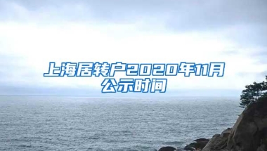 上海居转户2020年11月公示时间