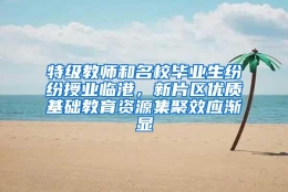 特级教师和名校毕业生纷纷授业临港，新片区优质基础教育资源集聚效应渐显