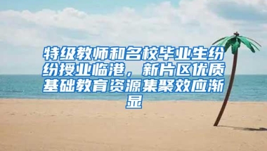 特级教师和名校毕业生纷纷授业临港，新片区优质基础教育资源集聚效应渐显