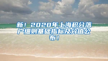 新！2020年上海积分落户细则基础指标及分值公布！