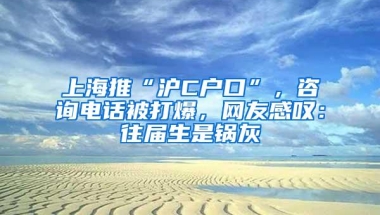 上海推“沪C户口”，咨询电话被打爆，网友感叹：往届生是锅灰