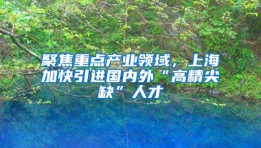 聚焦重点产业领域，上海加快引进国内外“高精尖缺”人才