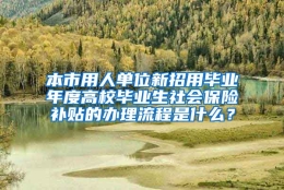 本市用人单位新招用毕业年度高校毕业生社会保险补贴的办理流程是什么？