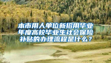 本市用人单位新招用毕业年度高校毕业生社会保险补贴的办理流程是什么？