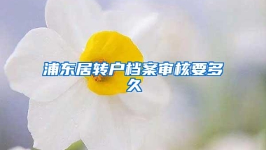 浦东居转户档案审核要多久