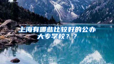 上海有哪些比较好的公办大专学校？？