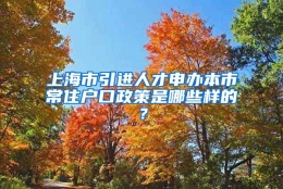 上海市引进人才申办本市常住户口政策是哪些样的？