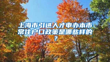 上海市引进人才申办本市常住户口政策是哪些样的？