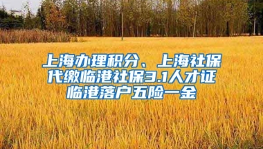 上海办理积分、上海社保代缴临港社保3.1人才证临港落户五险一金