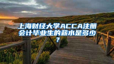 上海财经大学ACCA注册会计毕业生的薪水是多少？