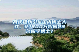 高校难以引进国内博士人才，花1800万招回23名留学博士？