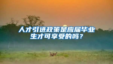 人才引进政策是应届毕业生才可享受的吗？