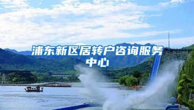 浦东新区居转户咨询服务中心