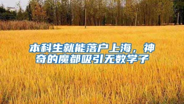 本科生就能落户上海，神奇的魔都吸引无数学子