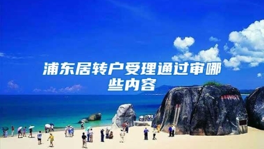 浦东居转户受理通过审哪些内容