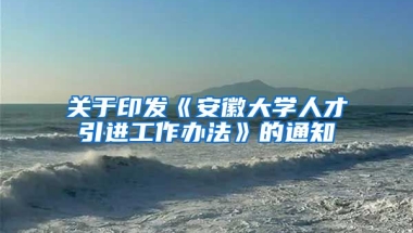 关于印发《安徽大学人才引进工作办法》的通知