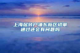 上海居转户浦东新区初审通过还会有问题吗