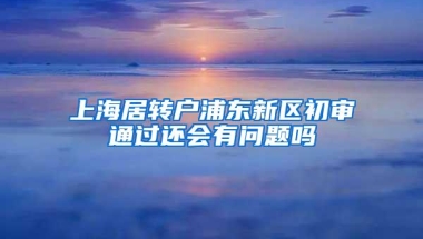 上海居转户浦东新区初审通过还会有问题吗