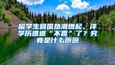 留学生回国热潮燃起，洋学历难道“不香”了？究竟是什么原因