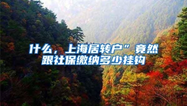 什么，上海居转户”竟然跟社保缴纳多少挂钩