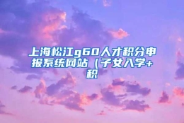 上海松江g60人才积分申报系统网站（子女入学+积