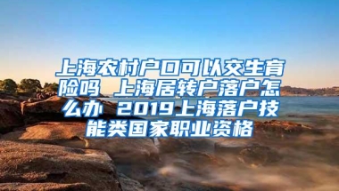 上海农村户口可以交生育险吗 上海居转户落户怎么办 2019上海落户技能类国家职业资格