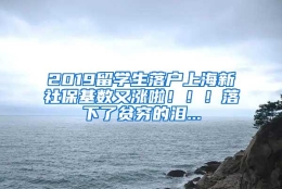 2019留学生落户上海新社保基数又涨啦！！！落下了贫穷的泪...