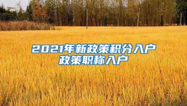 2021年新政策积分入户政策职称入户