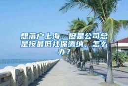 想落户上海，但是公司总是按最低社保缴纳，怎么办？