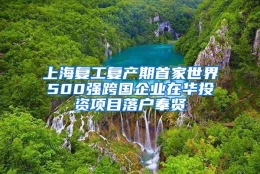 上海复工复产期首家世界500强跨国企业在华投资项目落户奉贤