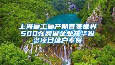 上海复工复产期首家世界500强跨国企业在华投资项目落户奉贤