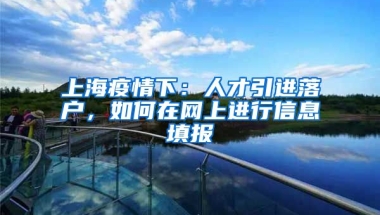 上海疫情下：人才引进落户，如何在网上进行信息填报