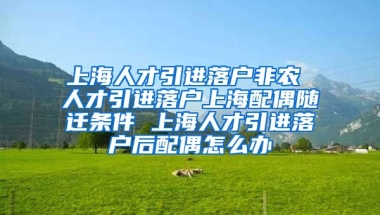 上海人才引进落户非农 人才引进落户上海配偶随迁条件 上海人才引进落户后配偶怎么办