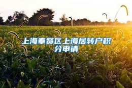 上海奉贤区上海居转户积分申请