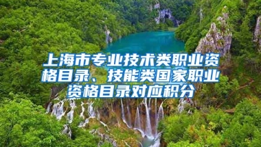 上海市专业技术类职业资格目录、技能类国家职业资格目录对应积分