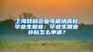 上海鼓励企业等吸纳高校毕业生就业：毕业生就业补贴怎么申请？