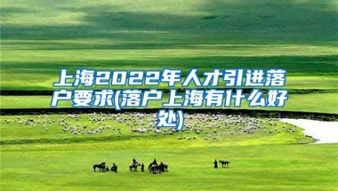 上海2022年人才引进落户要求(落户上海有什么好处)