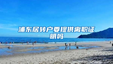 浦东居转户要提供离职证明吗