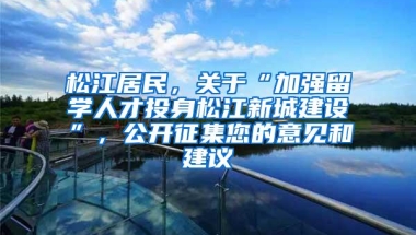 松江居民，关于“加强留学人才投身松江新城建设”，公开征集您的意见和建议→