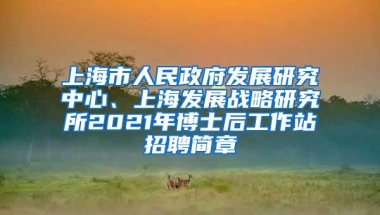 上海市人民政府发展研究中心、上海发展战略研究所2021年博士后工作站招聘简章