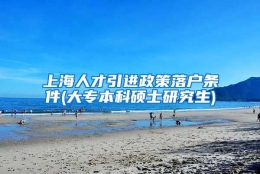 上海人才引进政策落户条件(大专本科硕士研究生)