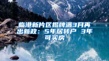 临港新片区揭牌满3月再出新政：5年居转户 3年可买房