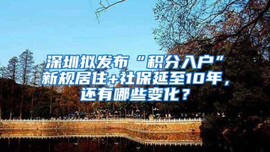 深圳拟发布“积分入户”新规居住+社保延至10年，还有哪些变化？